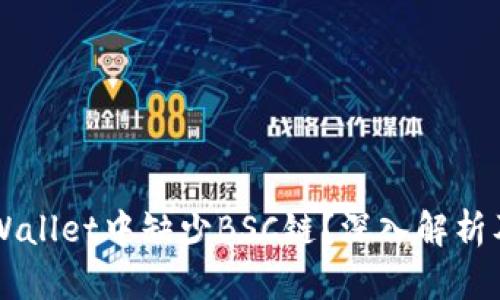 为什么TPWallet中缺少BSC链？深入解析及解决方案