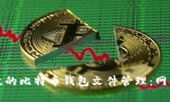 安全且高效的比特币钱包