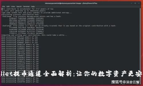  TPWallet提币通道全面解析：让你的数字资产更安全便捷