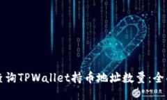 如何查询TPWallet持币地址数