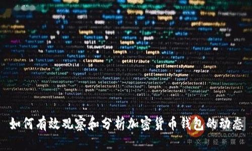 如何有效观察和分析加密货币钱包的动态