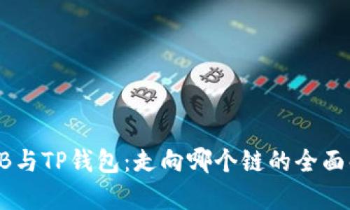 SHIB与TP钱包：走向哪个链的全面解析