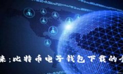 掌握未来：比特币电子钱包下载的全面指南