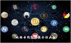 比特币钱包种类介绍大全