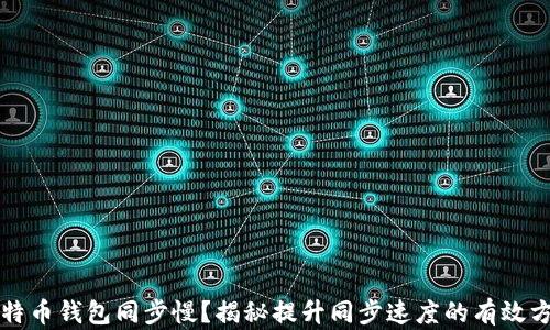 
比特币钱包同步慢？揭秘提升同步速度的有效方法