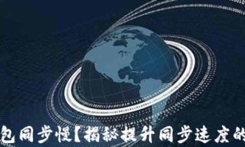 
比特币钱包同步慢？揭秘提升同步速度的有效方法