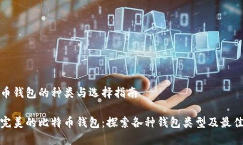 比特币钱包的种类与选择指南

选择完美的比特币钱包：探索各种钱包类型及最佳推荐