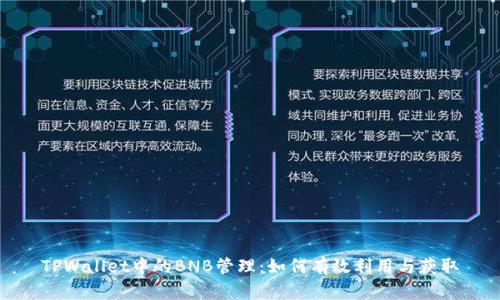TPWallet中的BNB管理：如何有效利用与获取