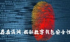 TPWallet存在漏洞：揭秘数字
