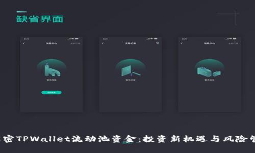  解密TPWallet流动池资金：投资新机遇与风险管理