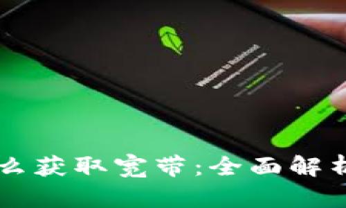TPWallet怎么获取宽带：全面解析与实用指南