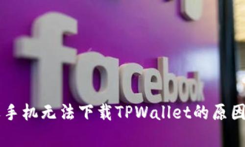 苹果手机无法下载TPWallet的原因解析