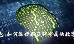 瑞波币钱包：如何选择和
