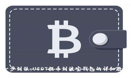 一步到位：USDT提币到波宝钱包的详细教程