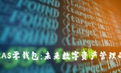 全面解析KAS零钱包：未来