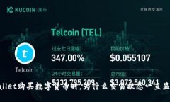 当你在TPWallet购买数字货币