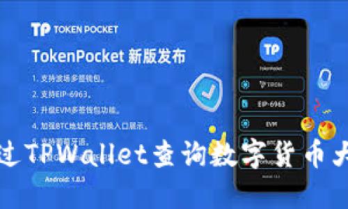 如何通过TPWallet查询数字货币大户信息