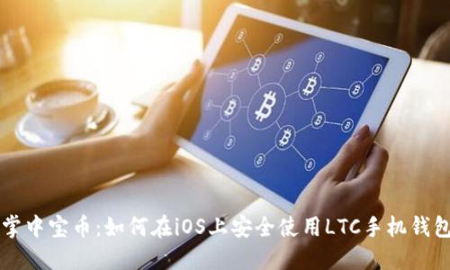 掌中宝币：如何在iOS上安全使用LTC手机钱包