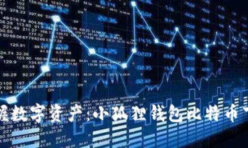 轻松掌握数字资产：小狐狸钱包比特币下载指南