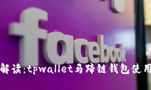 全面解读：tpwallet马蹄链钱包使用教程