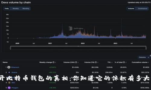 揭开比特币钱包的真相：你知道它的体积有多大吗？