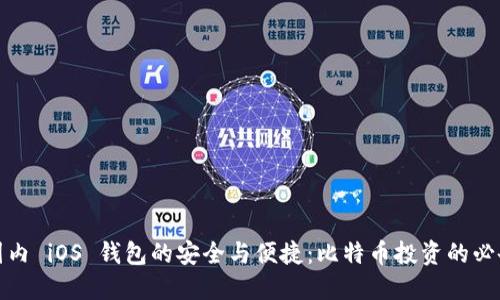 探索国内 iOS 钱包的安全与便捷：比特币投资的必备工具