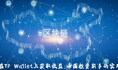 
如何在TP Wallet上获取收益：币圈投资新手的实用指南