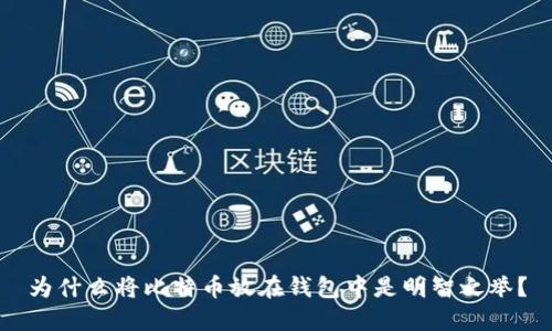 为什么将比特币放在钱包中是明智之举？