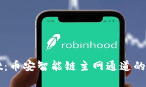 TPWallet：币安智能链主网通道的实用指南