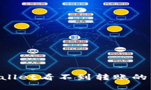 如何解决TPWallet看不到转账的问题：实用指南