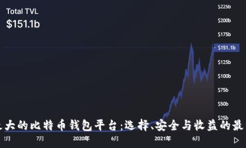 揭秘最大的比特币钱包平台：选择、安全与收益的最佳指南