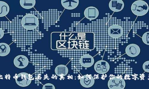 比特币钱包丢失的真相：如何保护你的数字资产