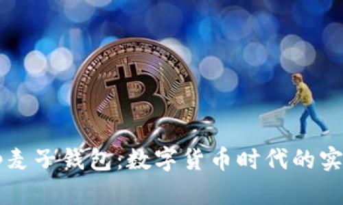 了解tp麦子钱包：数字货币时代的实用选择
