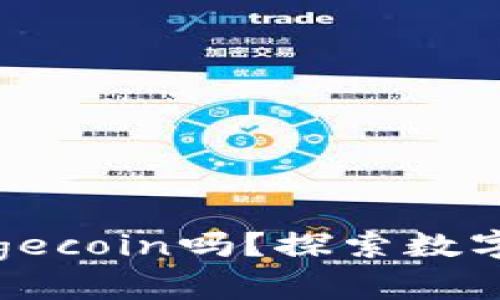 TP钱包可以存储Dogecoin吗？探索数字货币存储的新选择