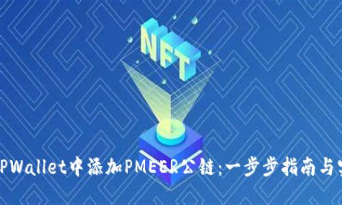 如何在TPWallet中添加PMEER公链:一步步指南与实用技巧