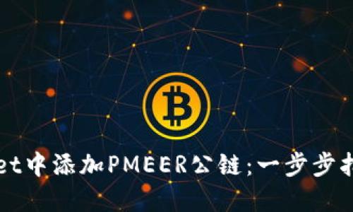如何在TPWallet中添加PMEER公链:一步步指南与实用技巧