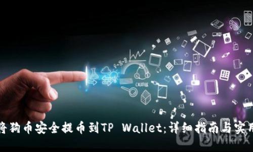 如何将狗币安全提币到TP Wallet：详细指南与实用技巧
