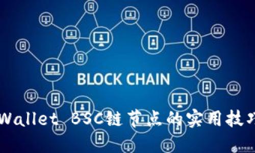 掌握TPWallet BSC链节点的实用技巧与应用