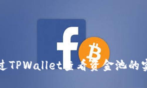 如何通过TPWallet查看资金池的实用指南