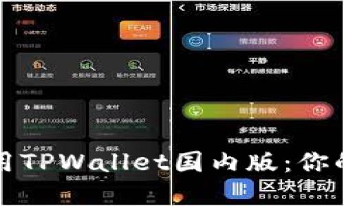 如何安全下载和使用TPWallet国内版：你的数字资产管理工具
