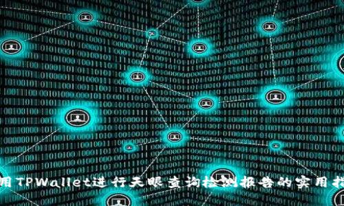 使用TPWallet进行天眼查询检测报告的实用指南