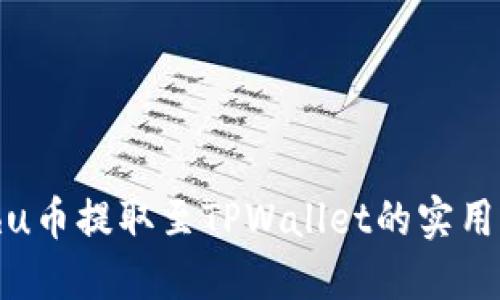 Kishu币提取至TPWallet的实用指南