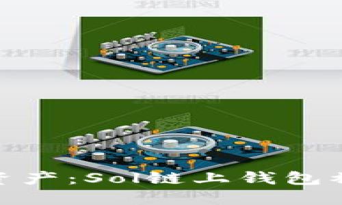如何保护您的数字资产：Sol链上钱包被盗的实用防范措施