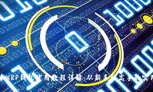 瑞波币XRP钱包使用教程详解：从新手到高手的实用指南