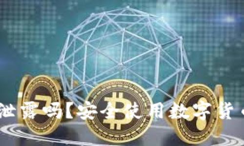 USDT钱包截图会泄露吗？安全使用数字货币钱包的实用指南