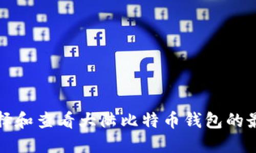 如何选择和查看大陆比特币钱包的最佳方式