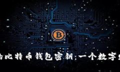 探索流浪的比特币钱包密钥：一个数字财富的旅