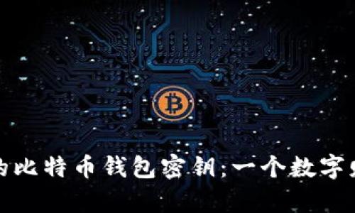 探索流浪的比特币钱包密钥：一个数字财富的旅程