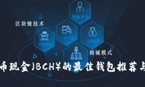 支持比特币现金（BCH）的最佳钱包推荐与使用指南