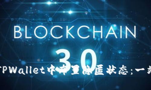 如何在TPWallet中布置隐匿状态：一站式指南